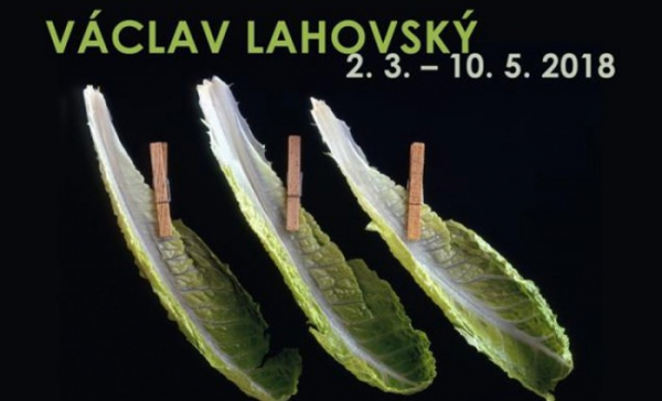 Novou výstavní sezónu českolipského muzea zahájí fotografie V. Lahovského
