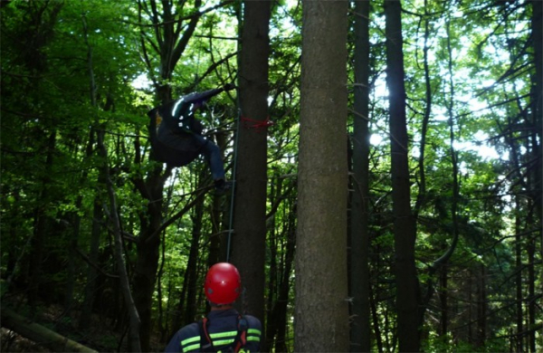 Paraglidista uvízl v koruně stromu
