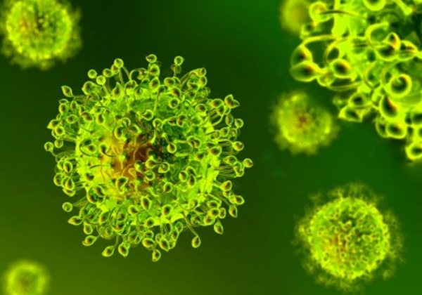 Liberecký kraj i nemocnice jsou na případný výskyt koronaviru v regionu připraveny