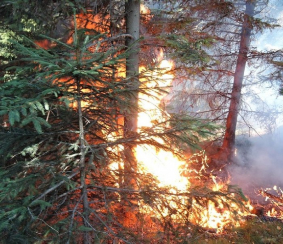 Liberecký kraj vyhlašuje stav zvýšeného nebezpečí vzniku požárů